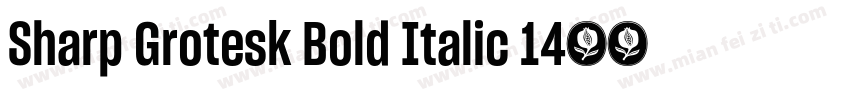 Sharp Grotesk Bold Italic 14字体转换